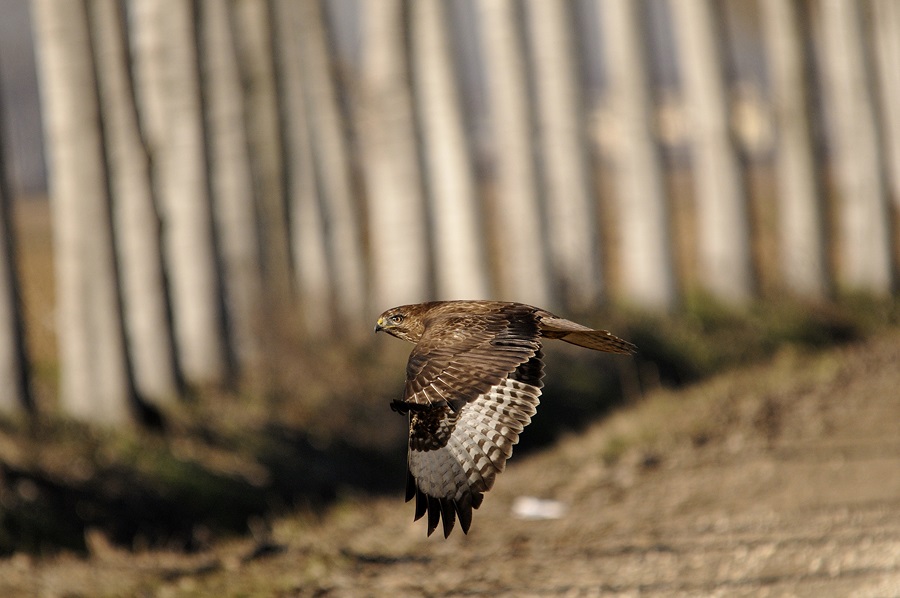 Ho voglia d''aria, esco a farmi un giro